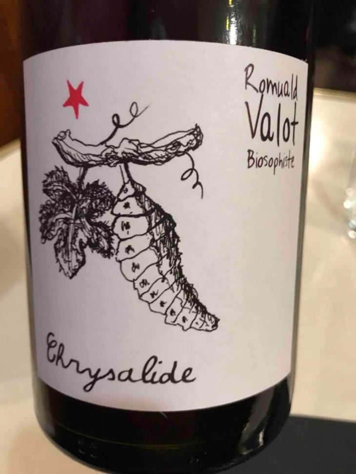 Chrysalide (Primeur) - Les Sauvageons - Cosima and Romuald Valot 