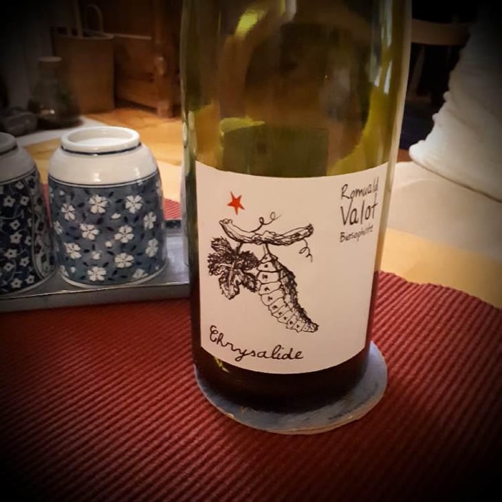 Chrysalide (Primeur) - Les Sauvageons - Cosima and Romuald Valot 