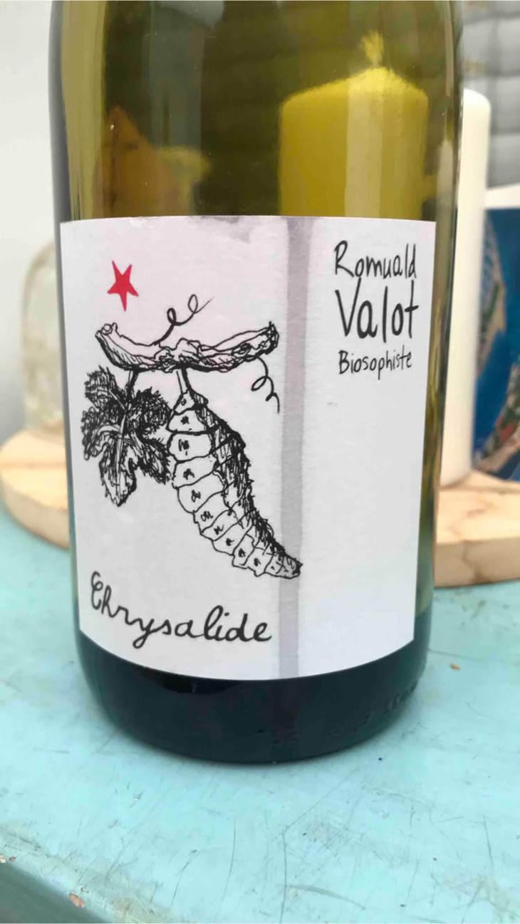 Chrysalide (Primeur) - Les Sauvageons - Cosima and Romuald Valot 
