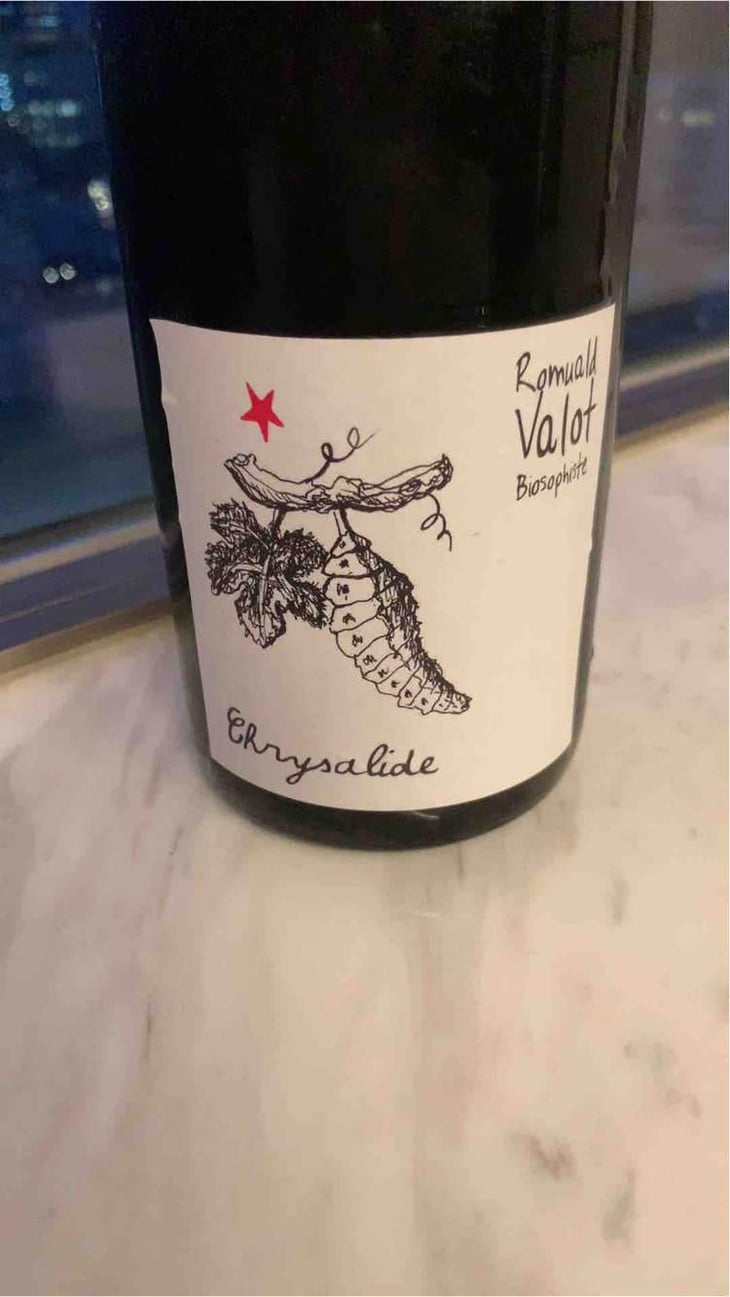 Chrysalide (Primeur) - Les Sauvageons - Cosima and Romuald Valot 