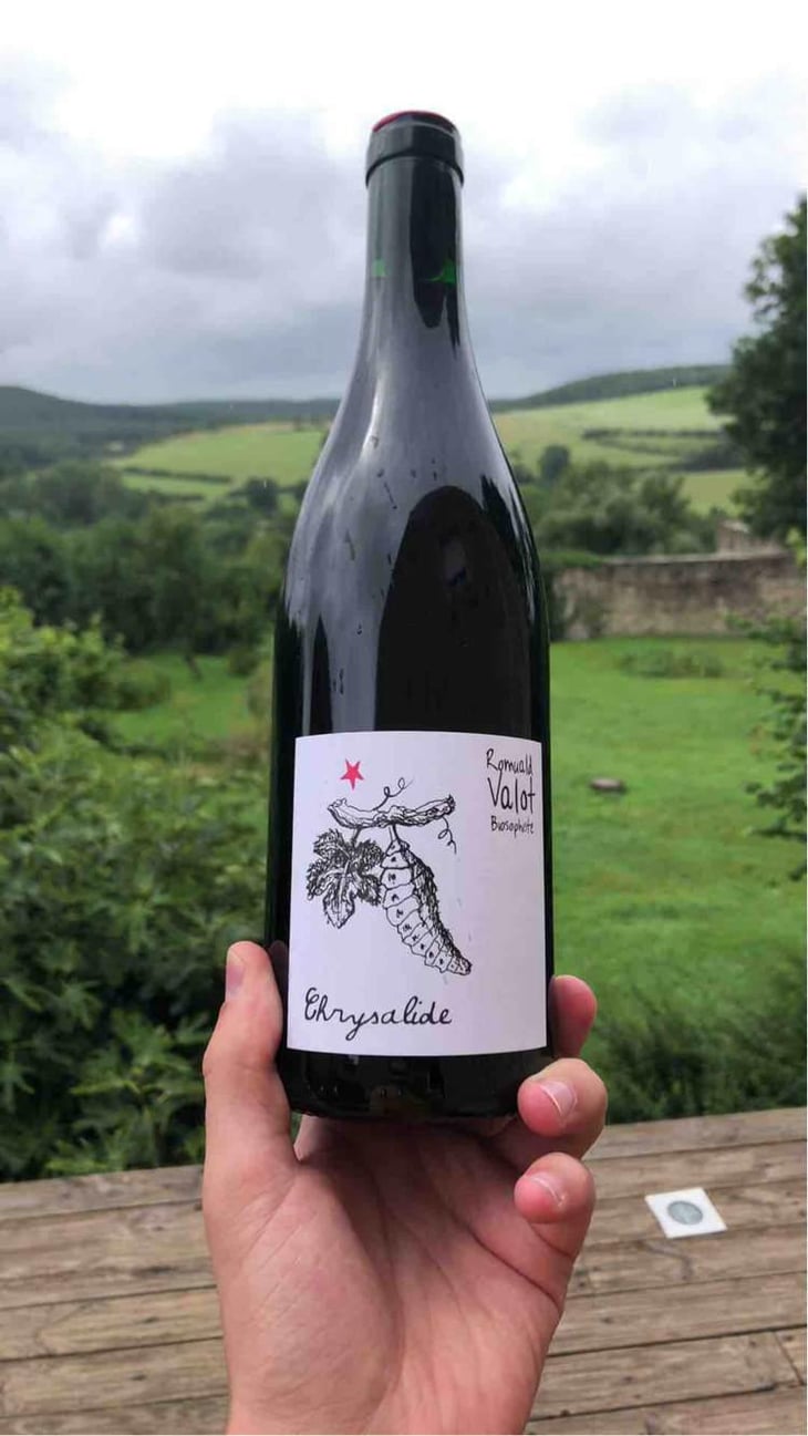 Chrysalide (Primeur) - Les Sauvageons - Cosima and Romuald Valot 