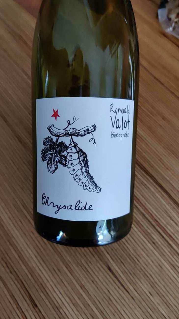 Chrysalide (Primeur) - Les Sauvageons - Cosima and Romuald Valot 