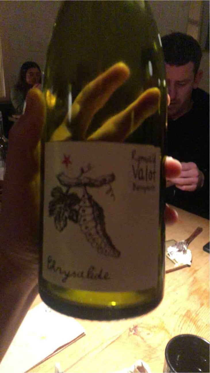 Chrysalide (Primeur) - Les Sauvageons - Cosima and Romuald Valot 