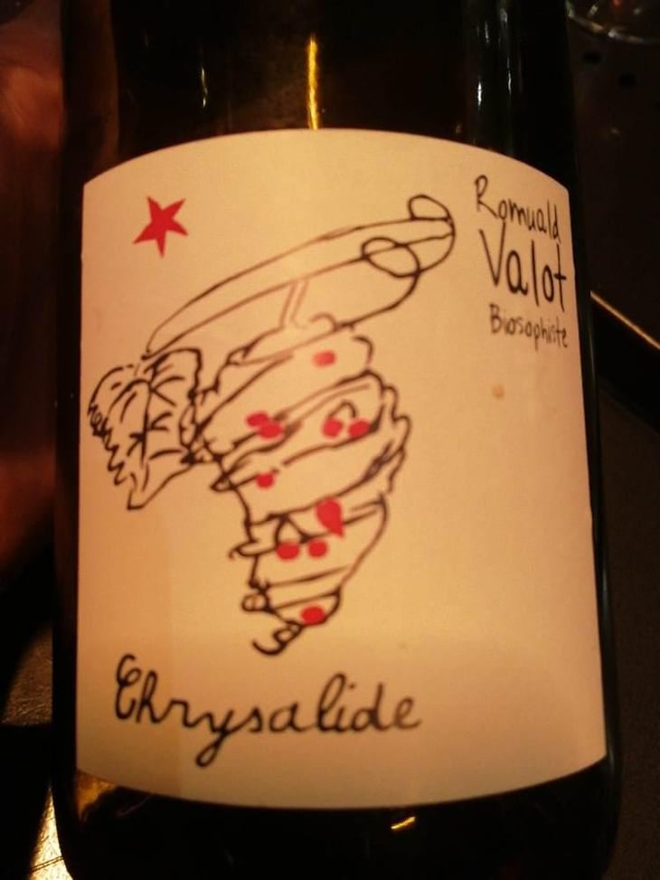 Chrysalide (Primeur) - Les Sauvageons - Cosima and Romuald Valot 