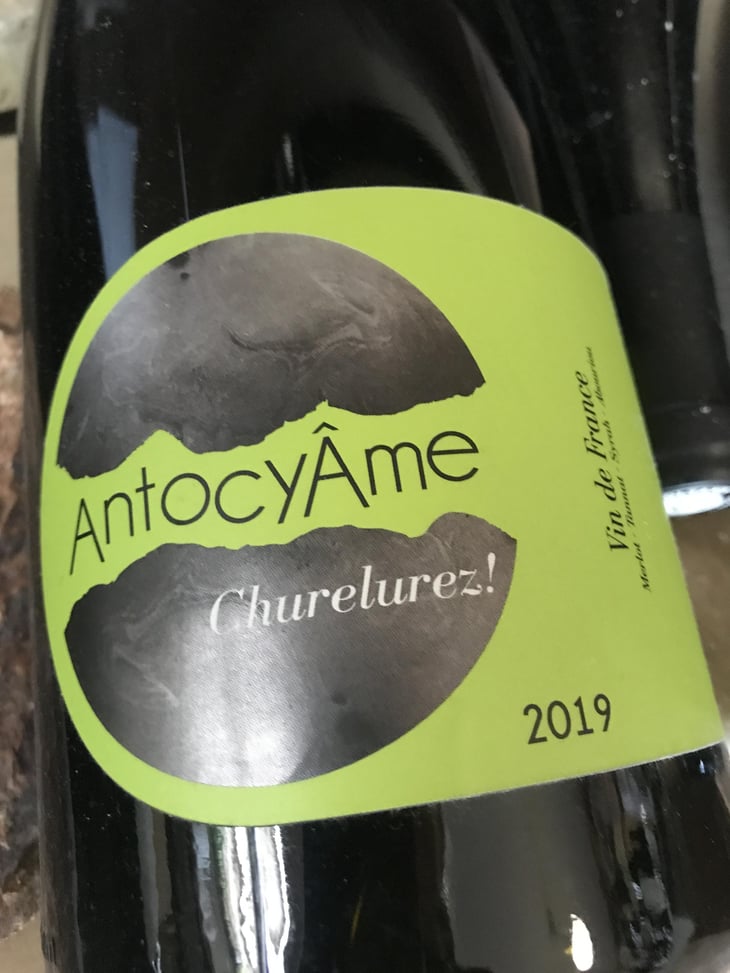 Churelurez! - AntocyÂme - Muriel Zoldan 