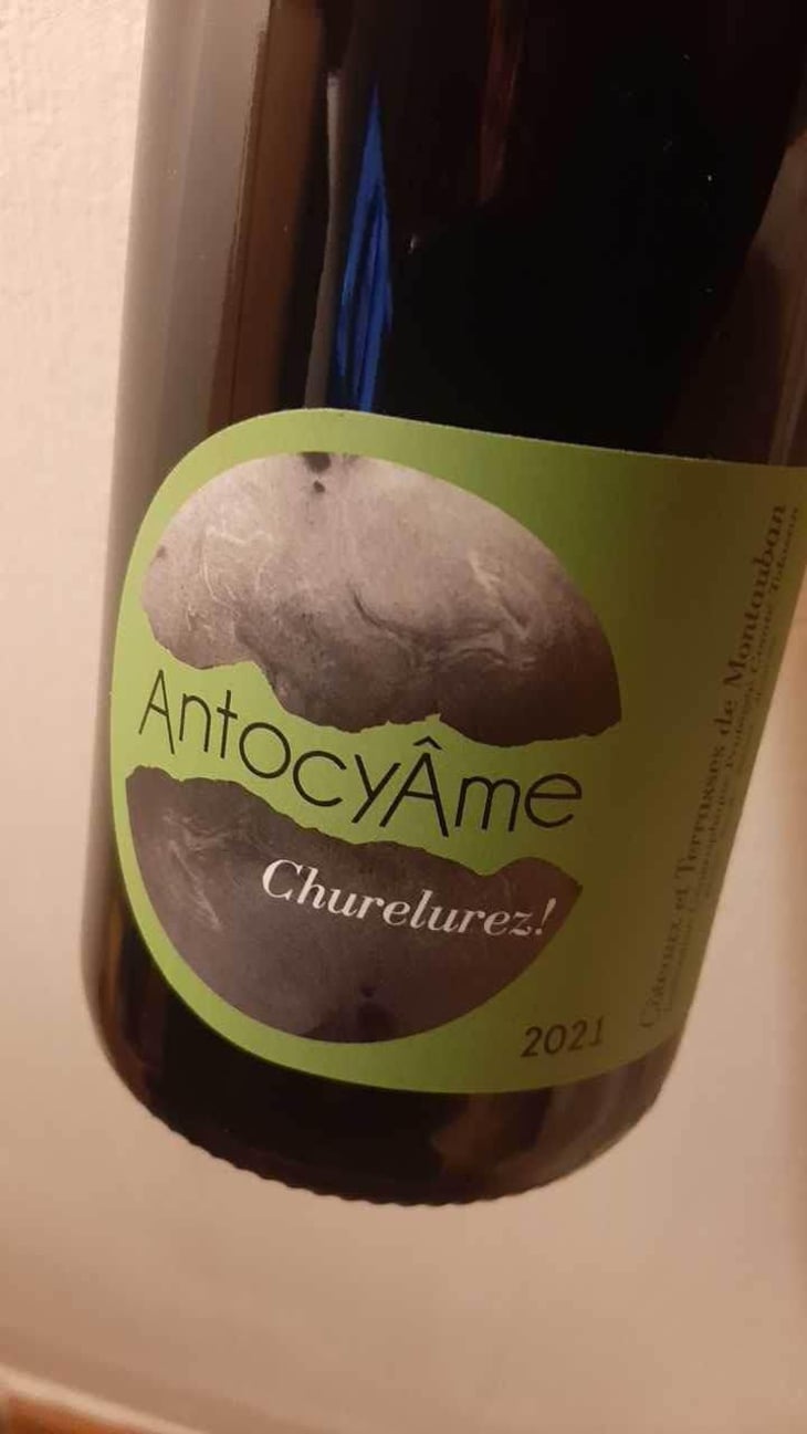 Churelurez! - AntocyÂme - Muriel Zoldan 