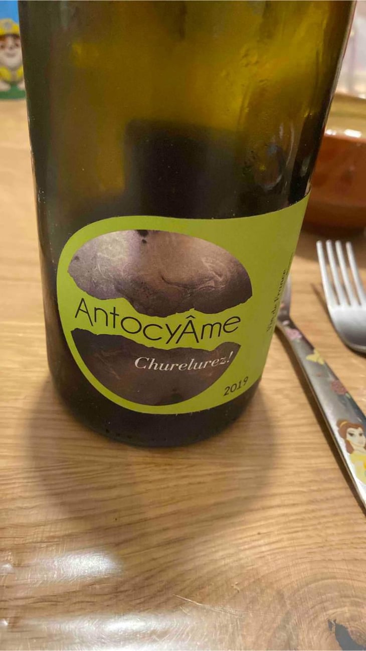 Churelurez! - AntocyÂme - Muriel Zoldan 