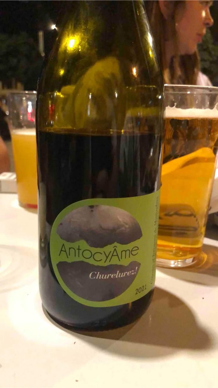 Churelurez! - AntocyÂme - Muriel Zoldan 