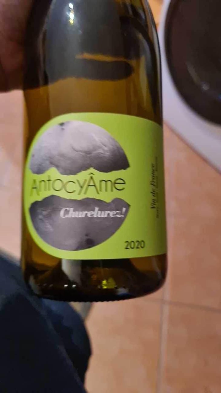 Churelurez! - AntocyÂme - Muriel Zoldan 