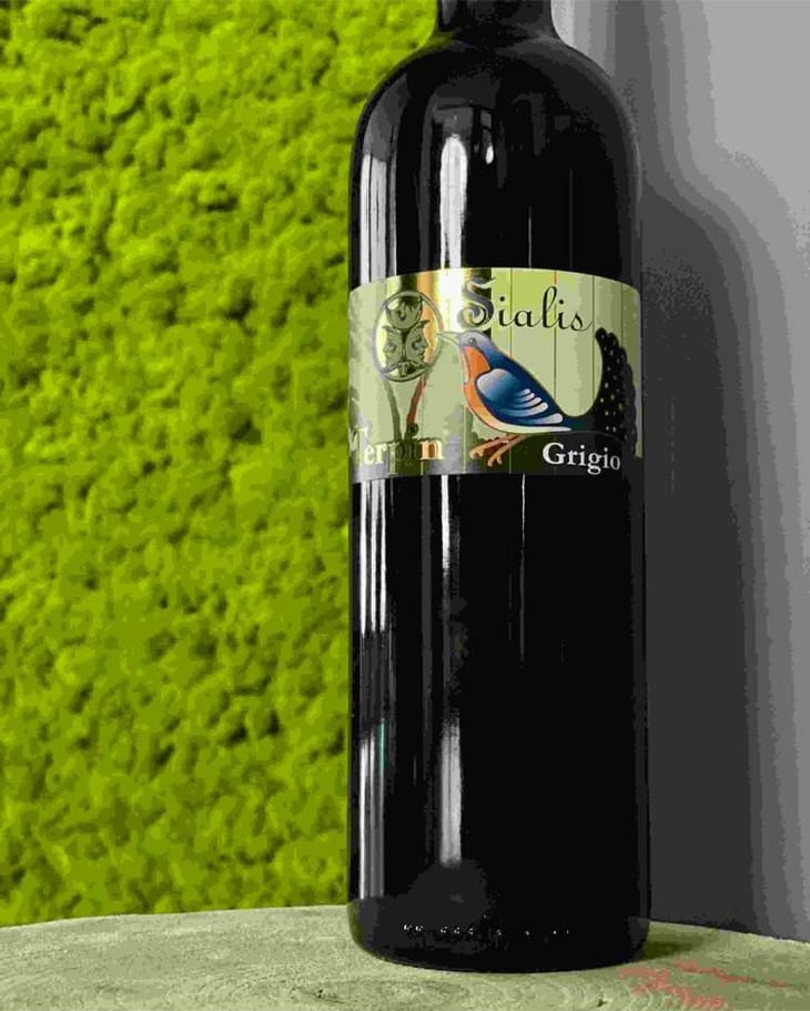 Sialis Grigio - Azienda Agricola Franco Terpin - Franco Terpin 