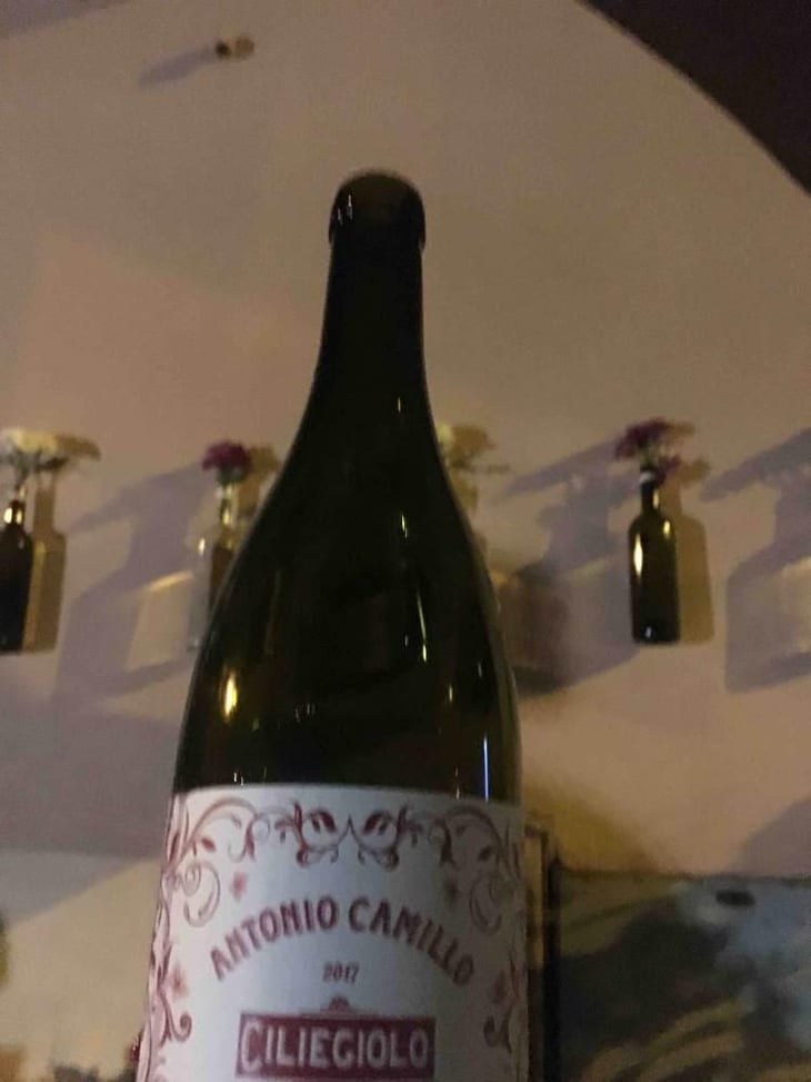 Ciliegiolo - Vini Di Territorio - Antonio Camillo 