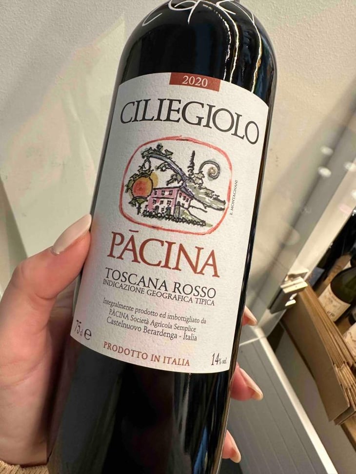 Ciliegiolo Pacina - Azienda Agricola Pācina - Giovanna Tiezzi, Stefano Borsa, Maria Borsa, Carlo Borsa, Roberto Maccari, Elisabeth Racine 