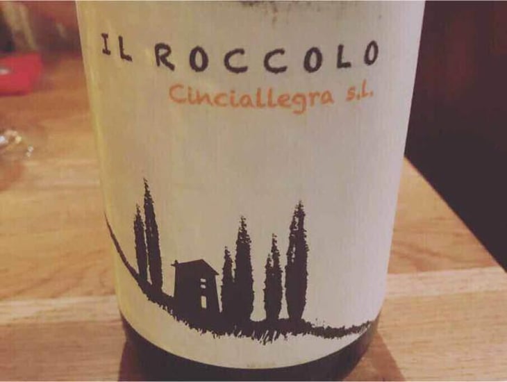 Cinciallegra s.l. - Il Roccolo di Monticelli - Silvia Tezza 