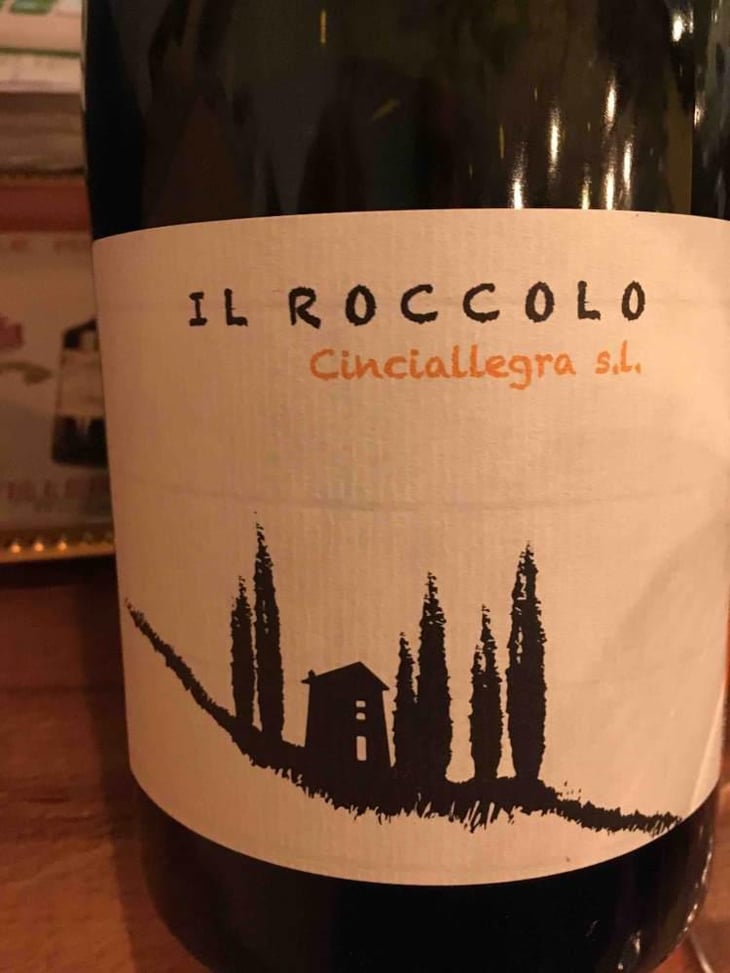 Cinciallegra s.l. - Il Roccolo di Monticelli - Silvia Tezza 