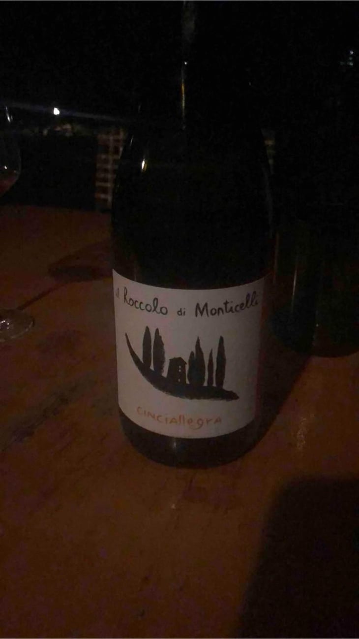 Cinciallegra s.l. - Il Roccolo di Monticelli - Silvia Tezza 