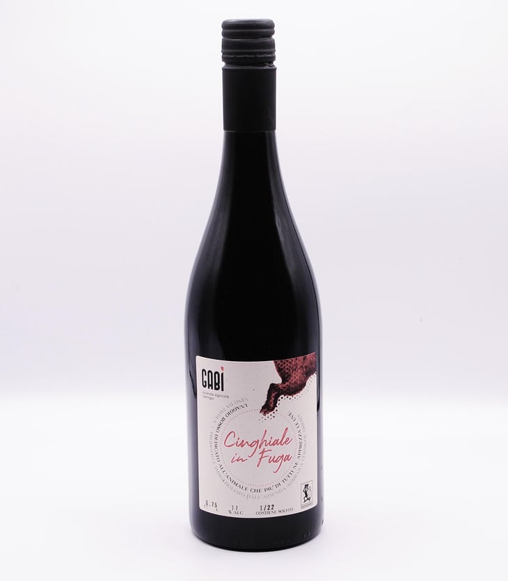 Cinghiale in Fuga - Gabì - Gabrijel Cernigoi -2022