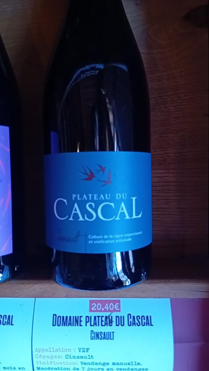 Cinsault - Plateau Du Cascal - Sofi Bataillard et Julien Veyret 