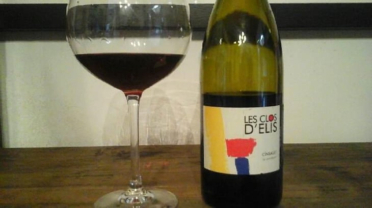 Cinsault Le Soi-Disant - Les Clos d'Elis - Elisabeth Jacquier 
