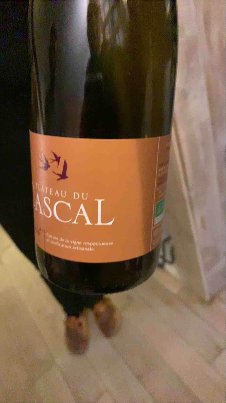 Cinsault - Plateau Du Cascal - Sofi Bataillard et Julien Veyret 