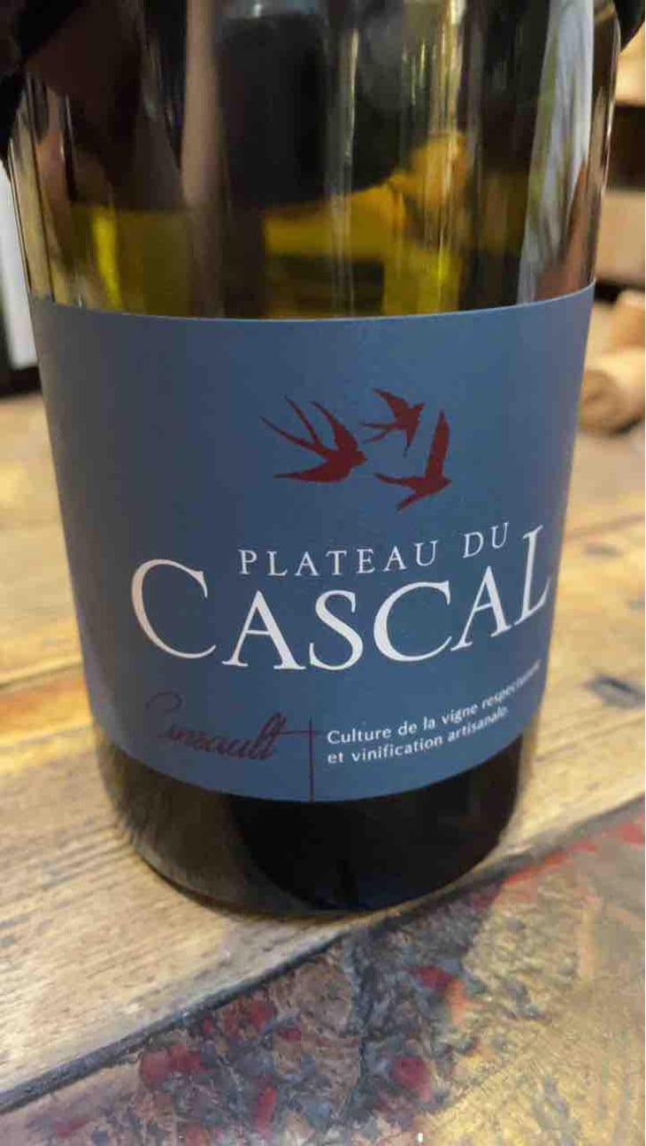 Cinsault - Plateau Du Cascal - Sofi Bataillard et Julien Veyret 