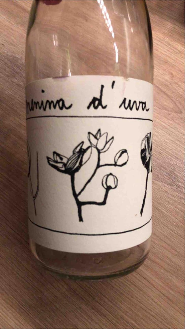 Ciste - Menina D'Uva - Aline Domingues 