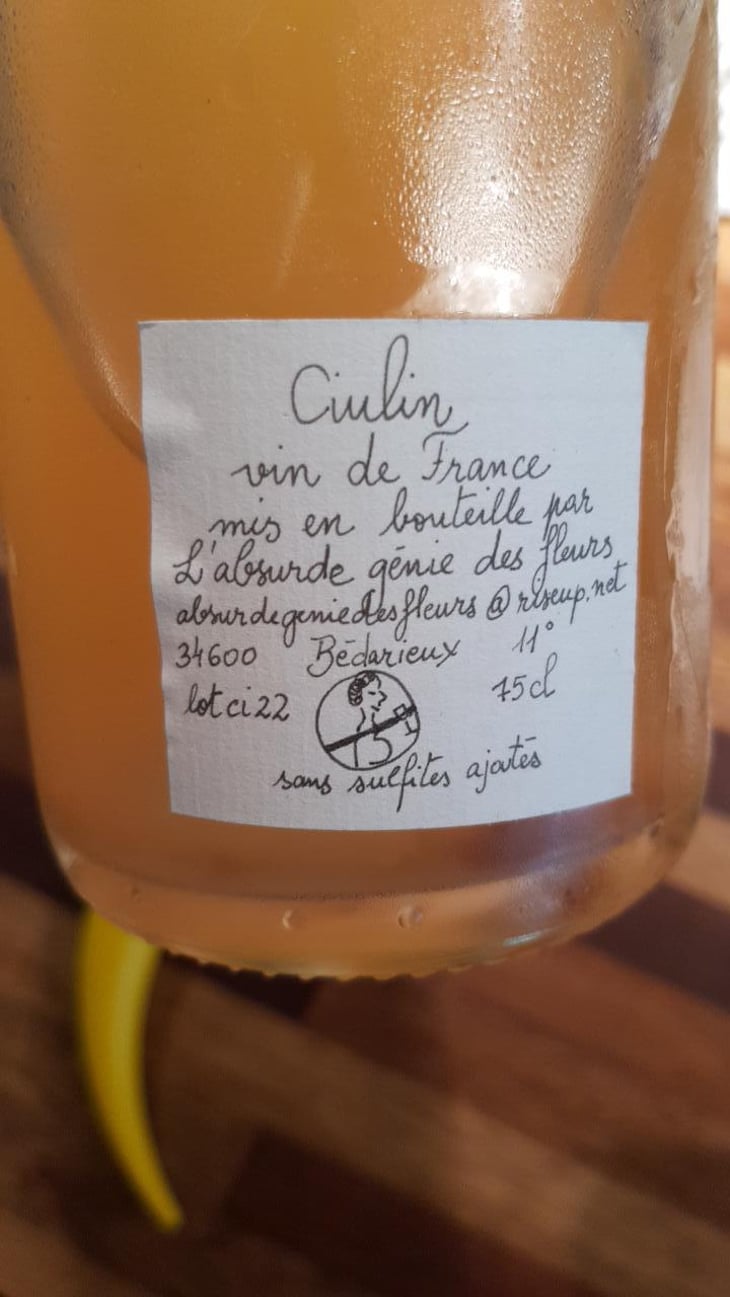 Ciulin - L’absurde Génie Des Fleurs - Miha Trifa & Tom Gautier 