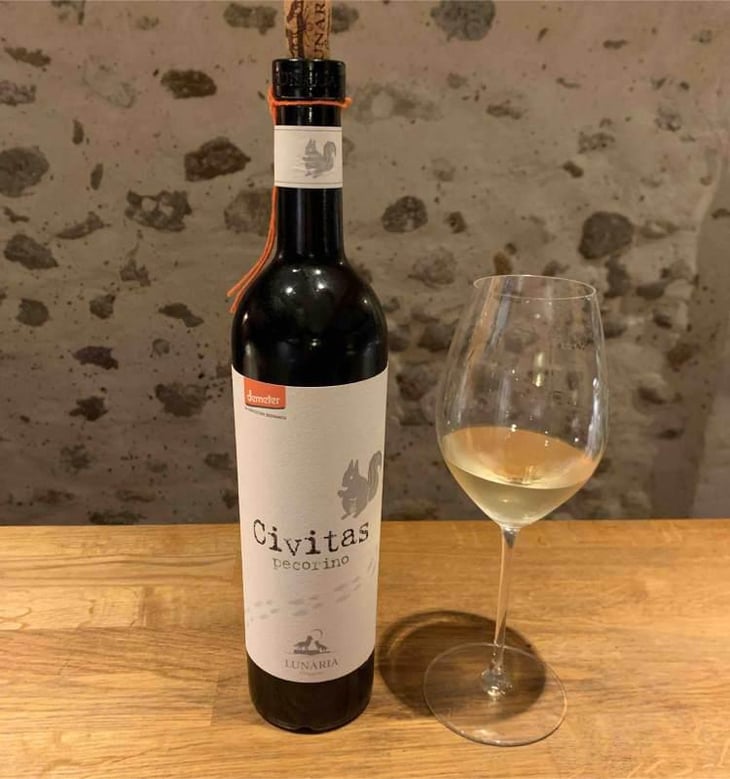 Civitas - Cantina Orsogna - Cantina Orsogna 