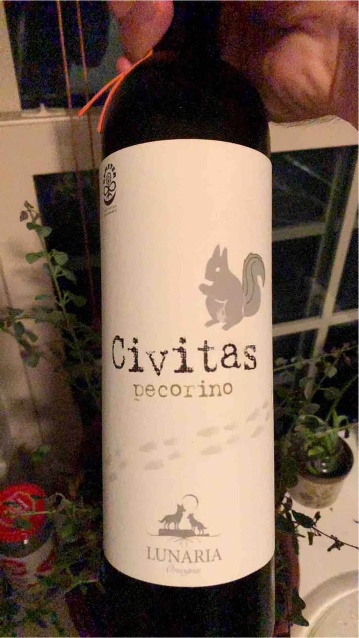 Civitas - Cantina Orsogna - Cantina Orsogna 