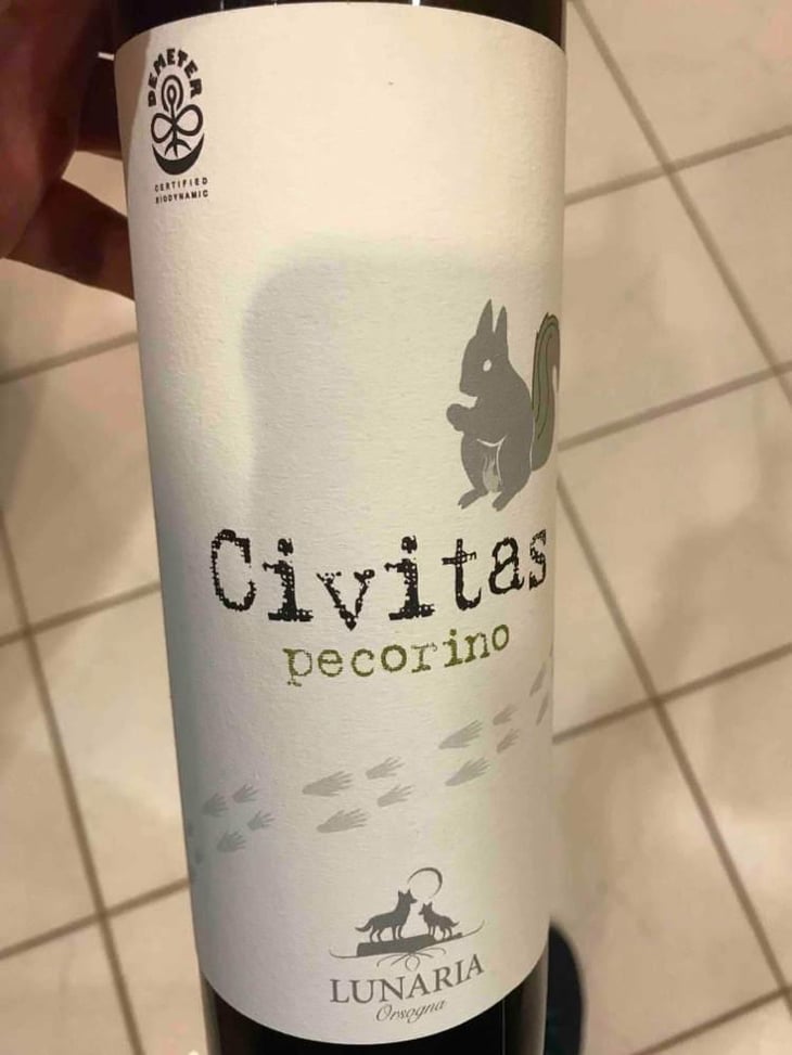 Civitas - Cantina Orsogna - Cantina Orsogna 