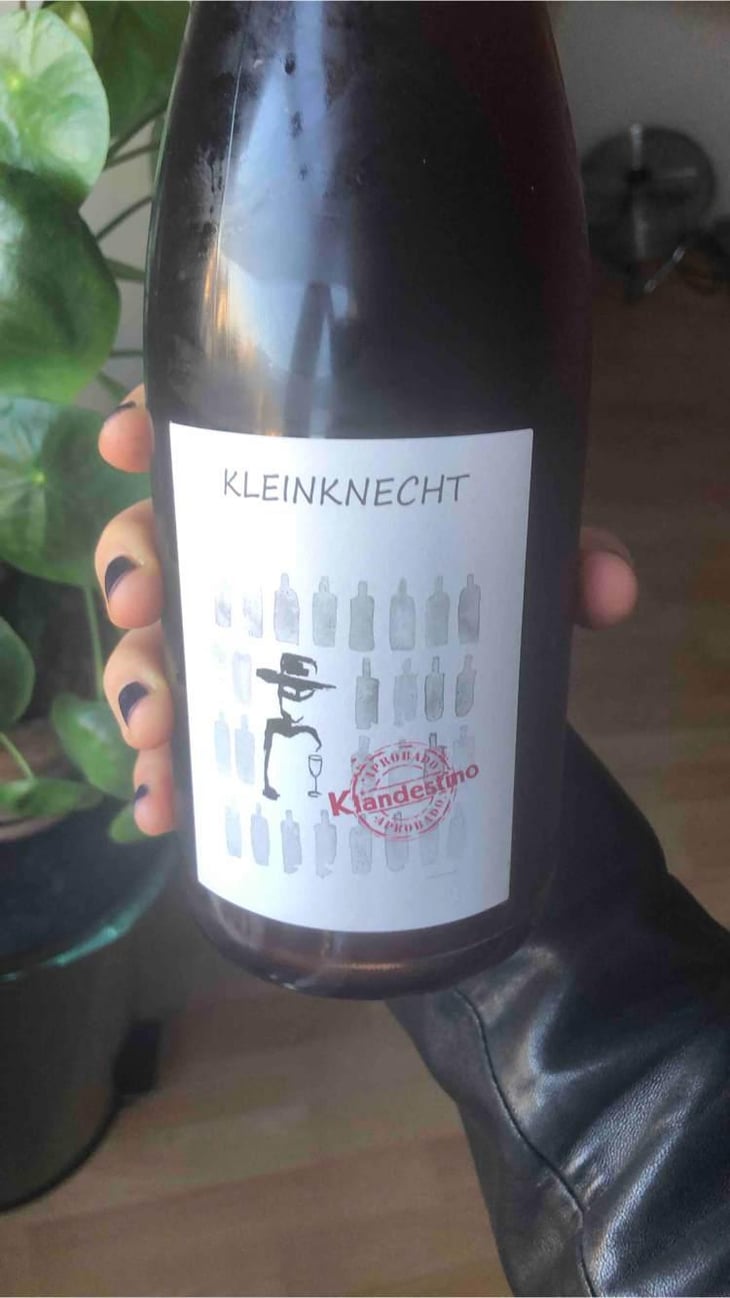 Klandestino - Domaine Kleinknecht - André Kleinknecht 