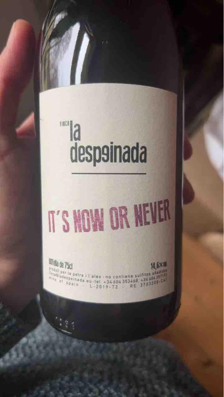 it´s now or never - Finca la Despeinada - Petra y Alex -2022