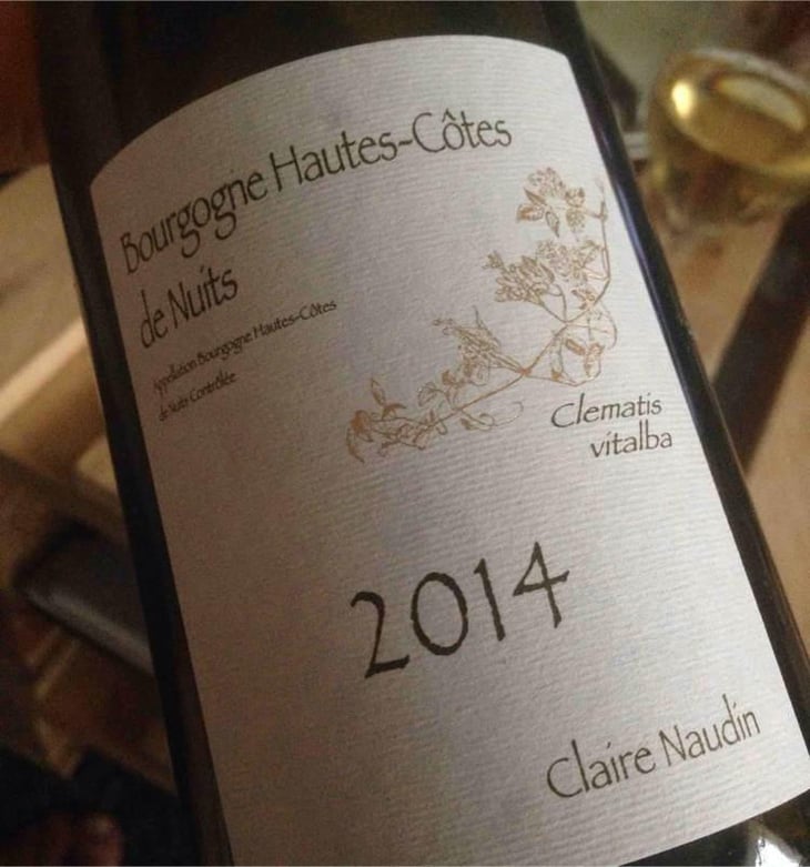 Clematis Vitalba - Domaine Henri Naudin-Ferrand - Claire Naudin 