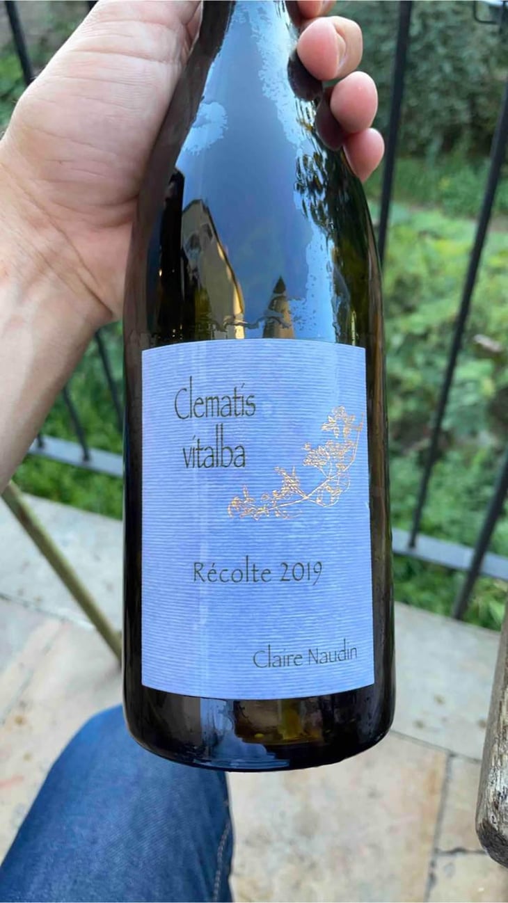 Clematis Vitalba - Domaine Henri Naudin-Ferrand - Claire Naudin 