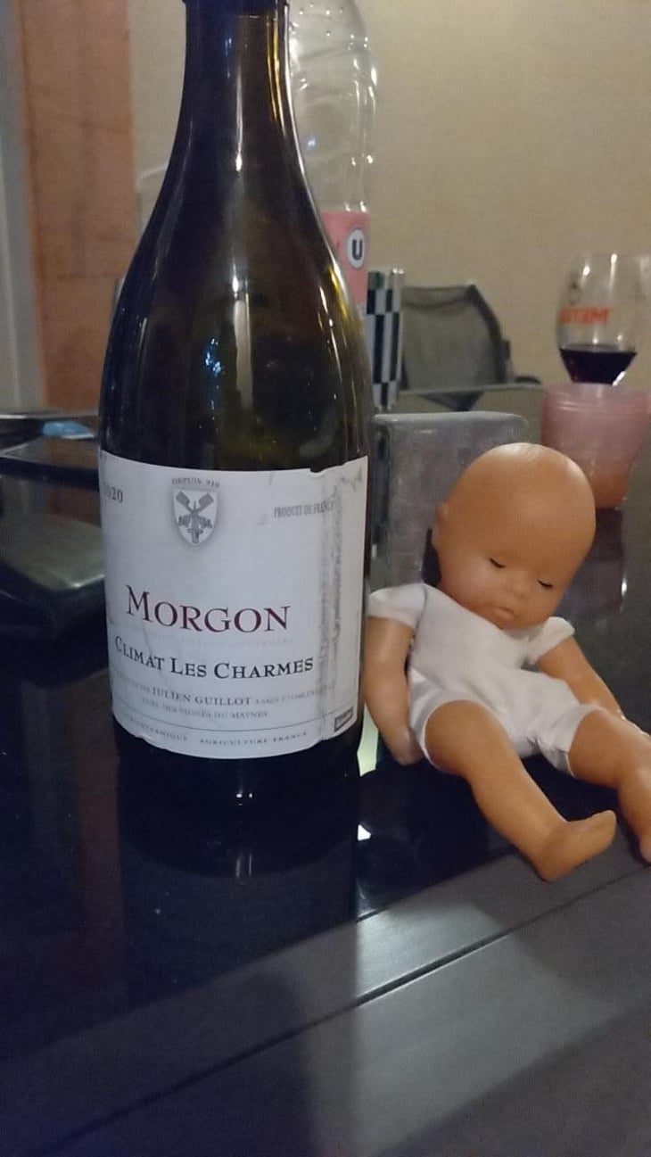 Climat Les Charmes - Clos des Vignes du Maynes - Julien Guillot 