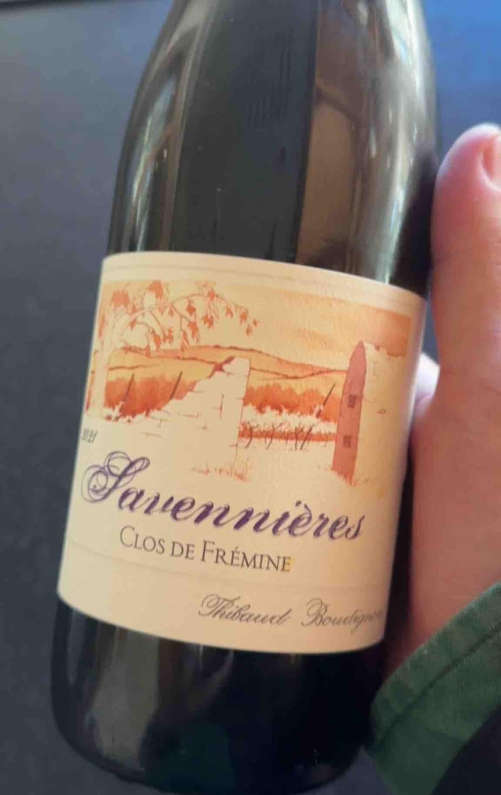 Clos De Frémine - Thibaud Boudignon - Thibaud Boudignon 