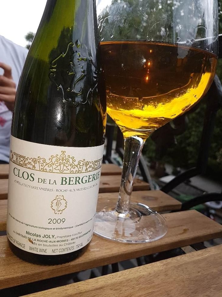 Clos de la Bergerie - Château de la Roche Aux Moines - Coulée de Serrant - Virginie & Nicolas Joly 