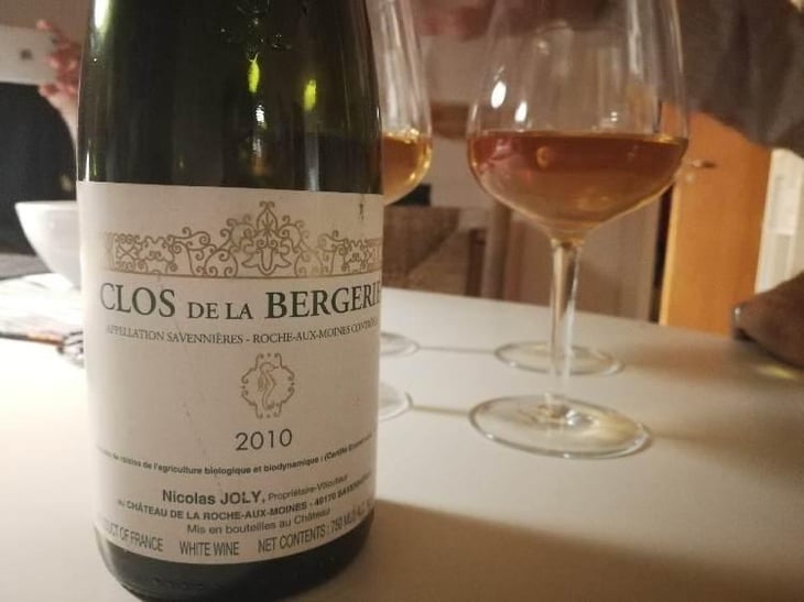 Clos de la Bergerie - Château de la Roche Aux Moines - Coulée de Serrant - Virginie & Nicolas Joly 