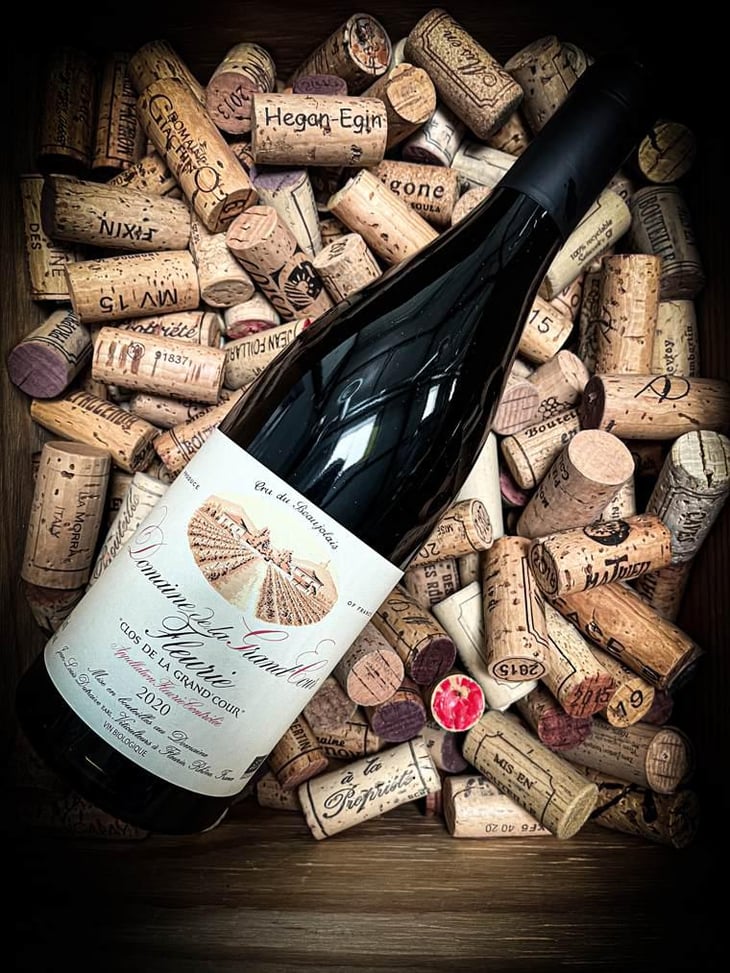 Clos de la Grand'Cour - Domaine de la Grand'Cour - Jean-Louis Dutraive 