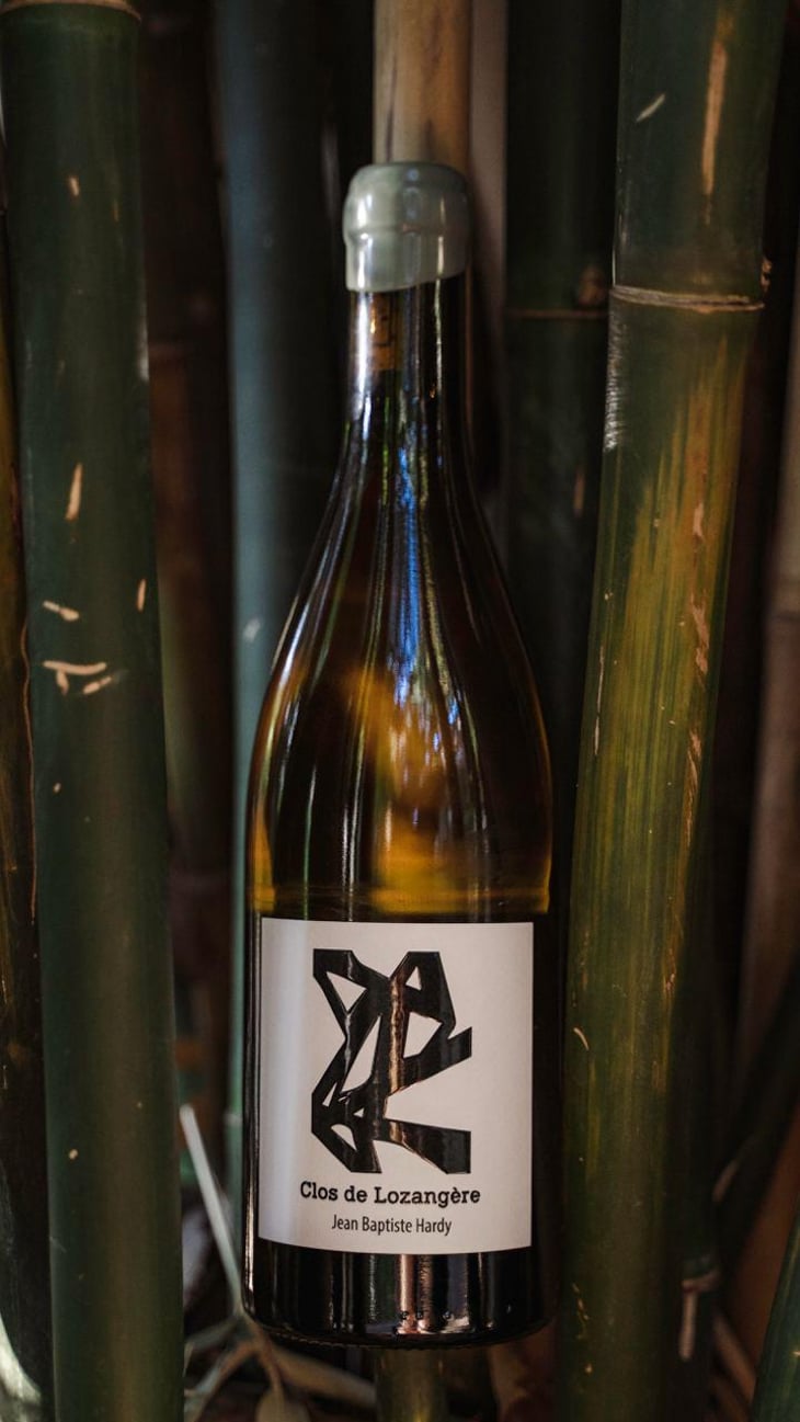 Clos de Lozangere - Jean-Baptiste Hardy - Jean-Baptiste Hardy -2020