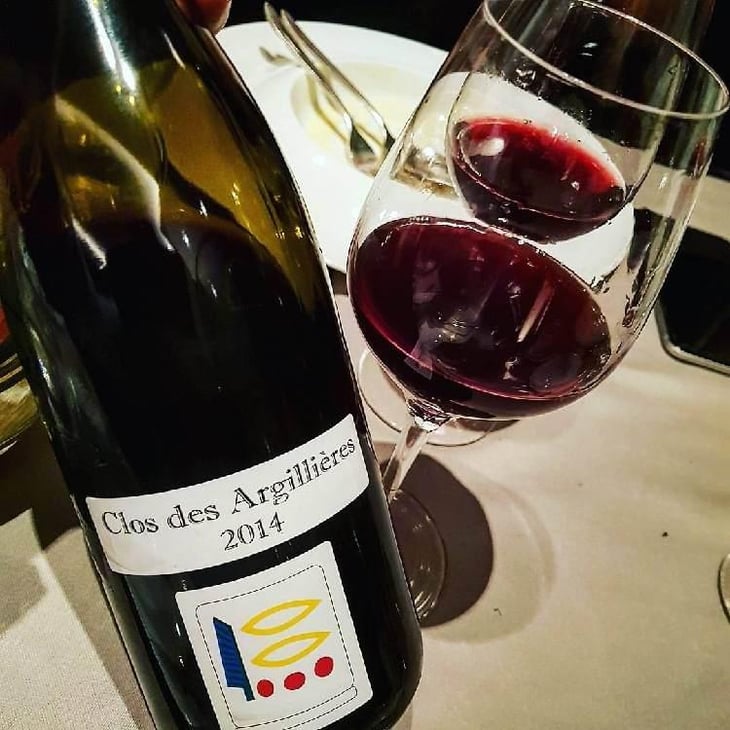 Clos des Argillières - Domaine Prieuré Roch - Henry-Frédéric Roch & Yannick Champ 