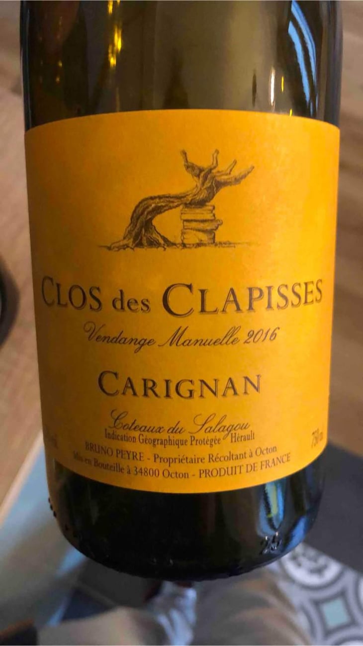 Clos Des Clapisses - Clos des Clapisses - Bruno Peyre 