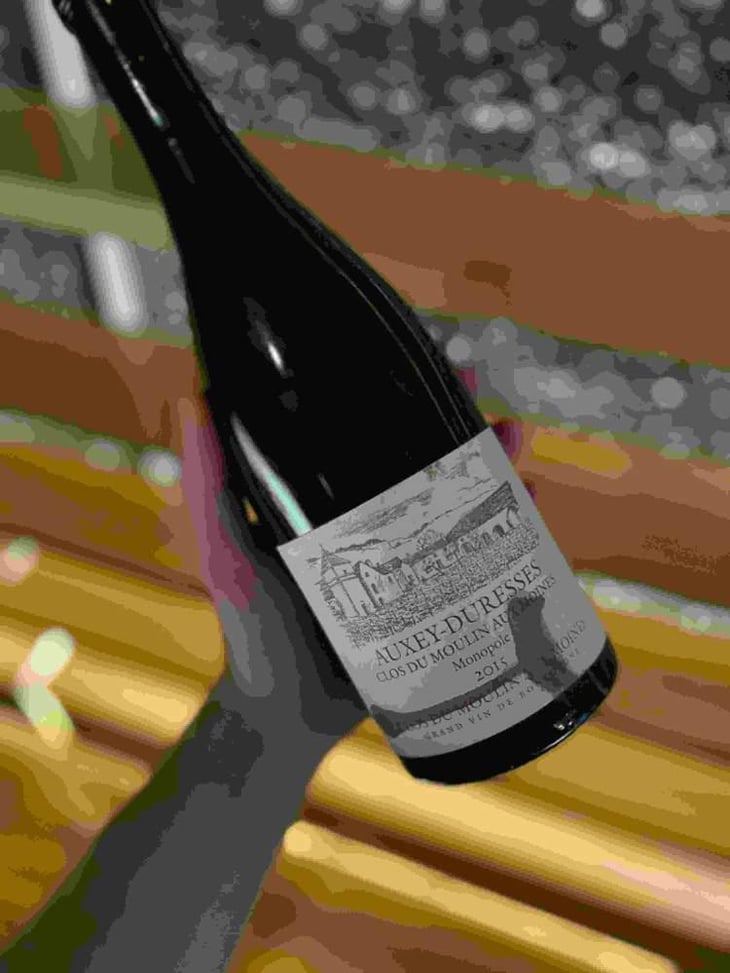 Clos Du Moulin Aux Moines - Domaine SCEA - Willy Roulendes & Famille Andrieu 