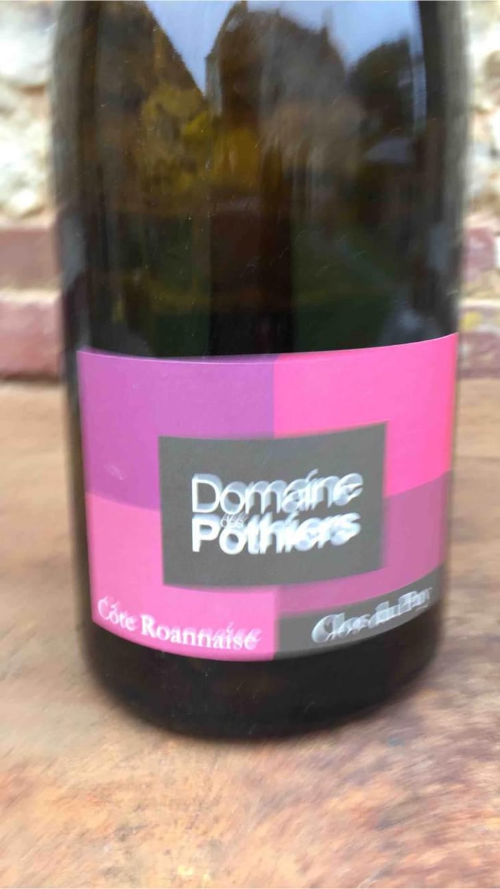 Clos du Puy - Domaine des Pothiers - Denise, Georges & Romain Paire 