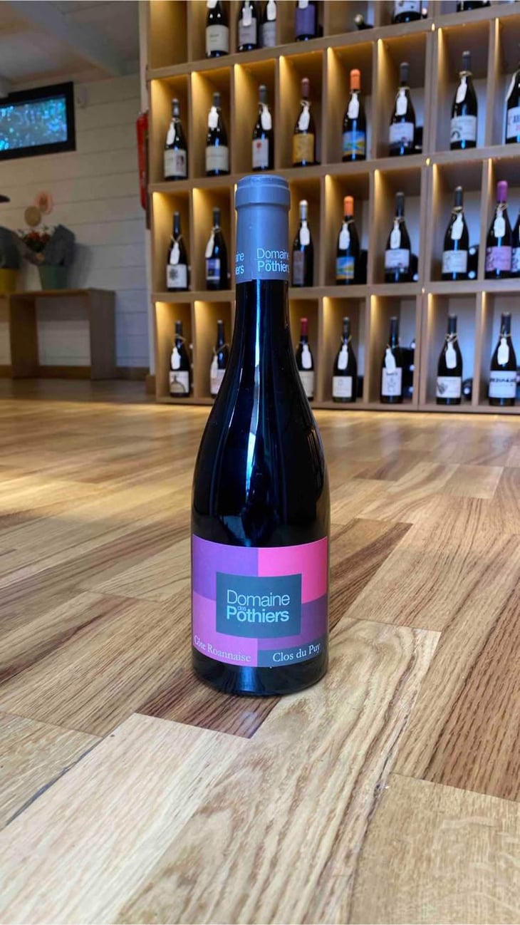 Clos du Puy - Domaine des Pothiers - Denise, Georges & Romain Paire 