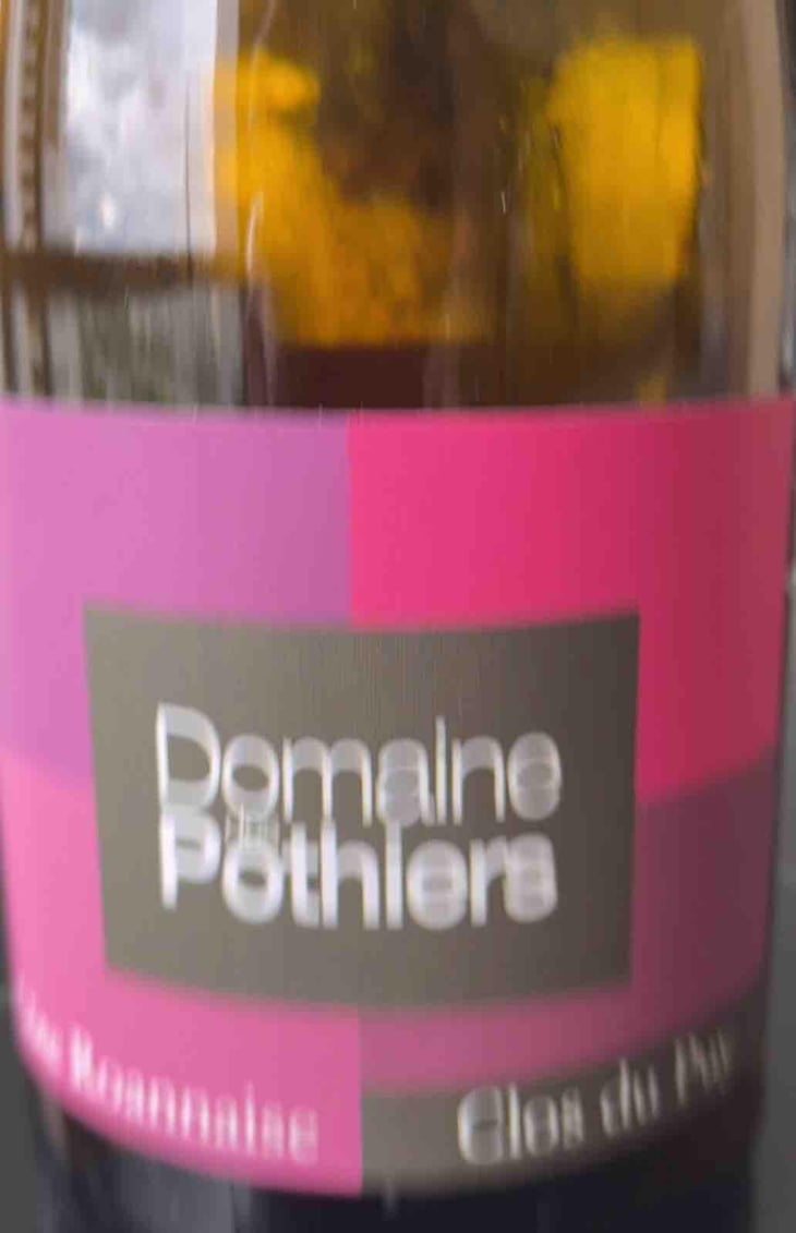 Clos du Puy - Domaine des Pothiers - Denise, Georges & Romain Paire 
