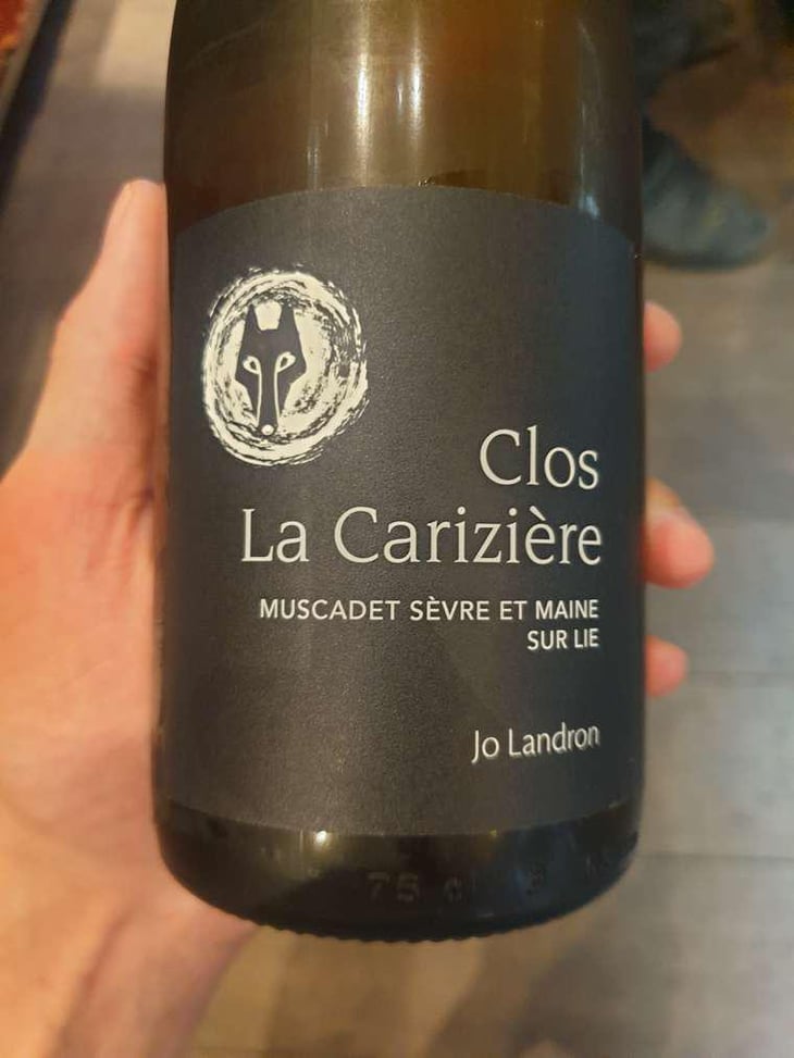 Clos la Carizière - Domaine Jo Landron - Jo Landron 