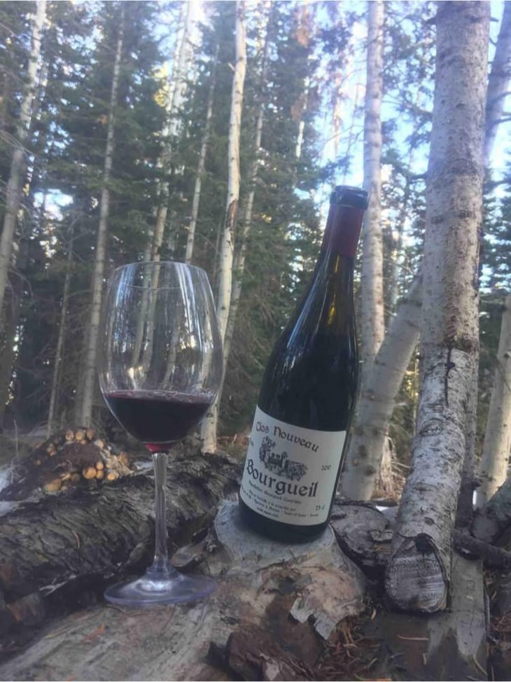 Clos Nouveau - Domaine Du Bel Air - Pierre & Rodolphe Gauthier 