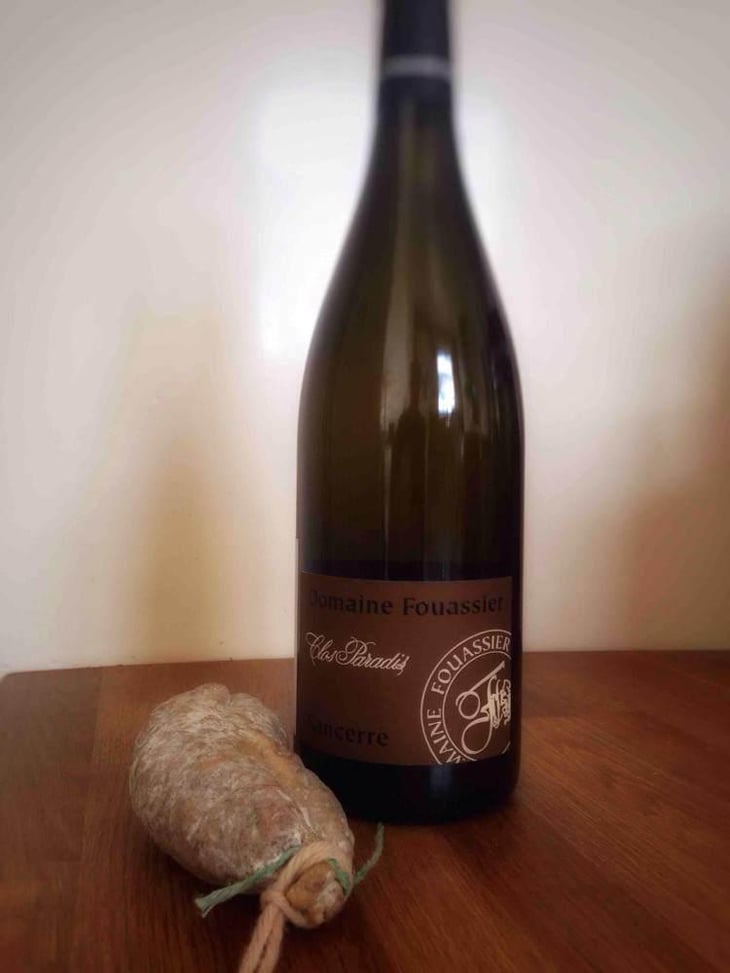 Clos Paradis - Domaine Fouassier - Benoit & Paul Fouassier 