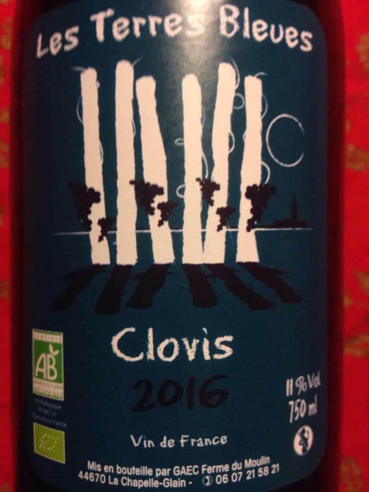 Clovis - Les Terres Bleues - Xavière Hardy 