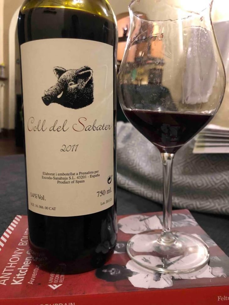 Coll del Sabater - Celler Escoda Sanahuja - Joan Ramón Escoda Martinez 